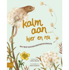 Kalm aan… Hier en nu