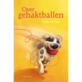 Over gehaktballen