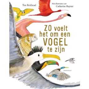 Zo voelt het om een vogel te zijn