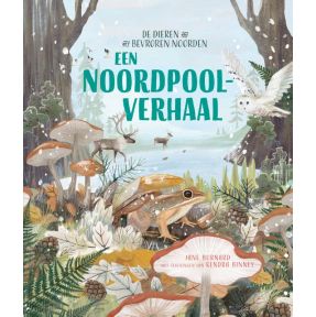 Een Noordpoolverhaal