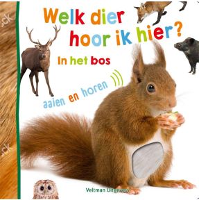 Welk dier hoor ik hier? - in het bos