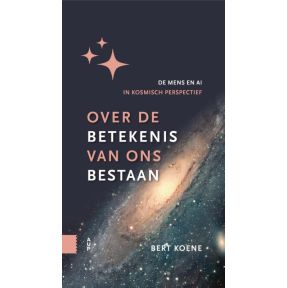 Over de betekenis van ons bestaan