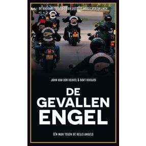 De gevallen engel