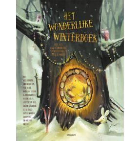 Het wonderlijke winterboek