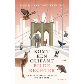 Komt een olifant bij de rechter