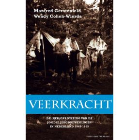 Veerkracht