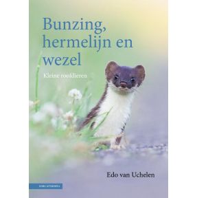 Bunzing, hermelijn en wezel