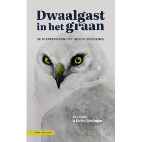 Dwaalgast in het graan