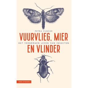 Vuurvlieg, mier en vlinder