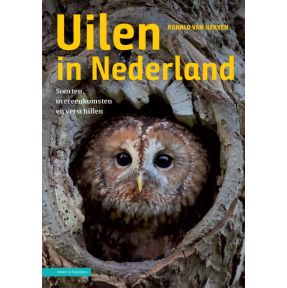 Uilen in Nederland