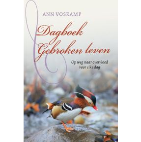 Dagboek Gebroken leven