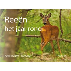 Reeën het jaar rond