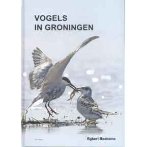 Vogels in Groningen