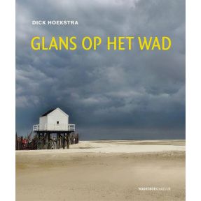 Glans op het wad