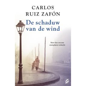 De schaduw van de wind