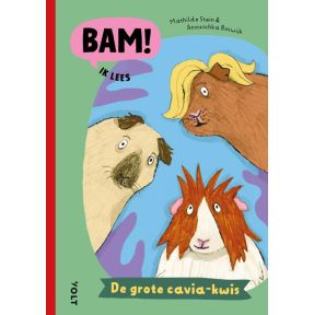 De grote cavia-kwis