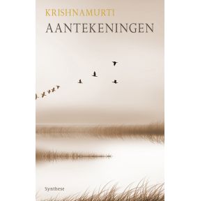 Aantekeningen