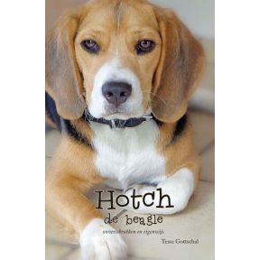 Hotch de Beagle