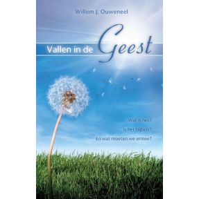 Vallen in de Geest