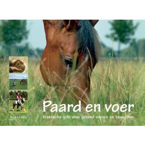 Paard en voer