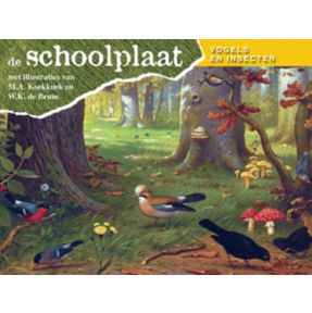 De Schoolplaat Vogels en Insecten