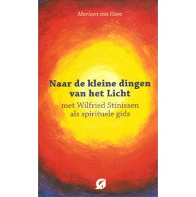 Naar de 'kleine dingen van het licht'