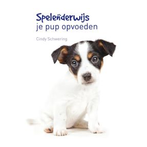 Spelenderwijs je pup opvoeden