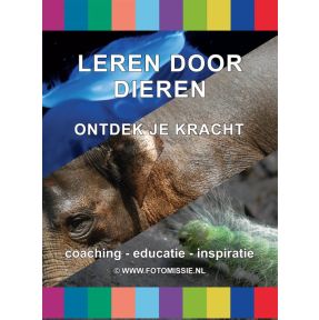 Leren door dieren