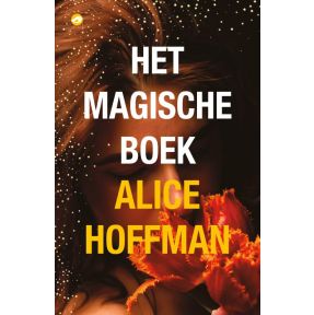 Het magische boek