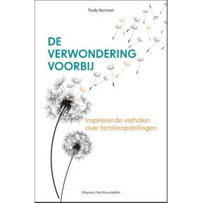 De verwondering voorbij