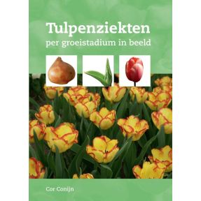 Tulpenziekten