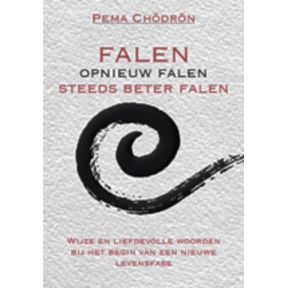 Falen - opnieuw falen - steeds beter falen