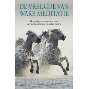 De vreugde van ware meditatie