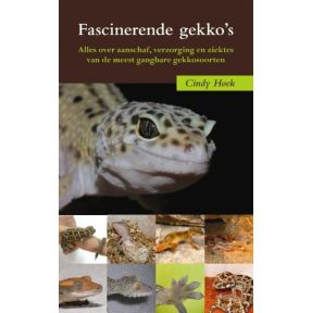 Fascinerende gekko's