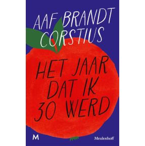 Het jaar dat ik 30 werd