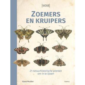 Zoemers en kruipers