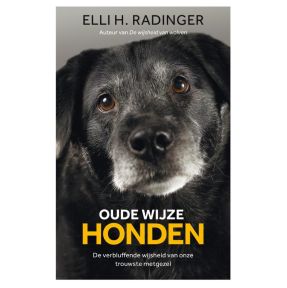 Oude wijze honden