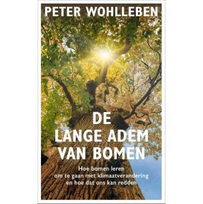 De lange adem van bomen