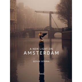 A New Light on Amsterdam