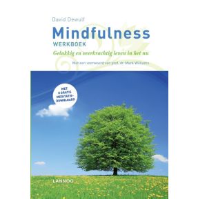 Mindfulness werkboek