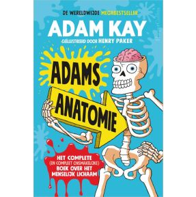 Adams anatomie