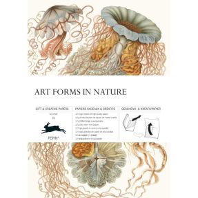 Art Forms in Nature Volume 83