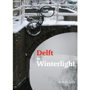 Delft in Winterlight