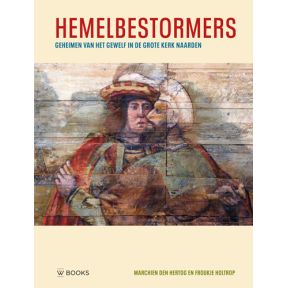 Hemelbestormers