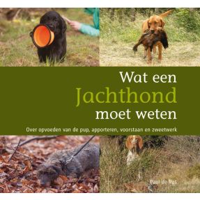 Wat een jachthond moet weten