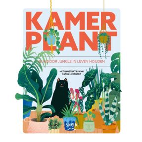 Kamerplant