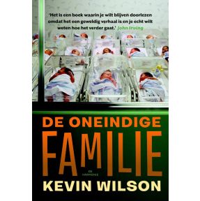 De oneindige familie