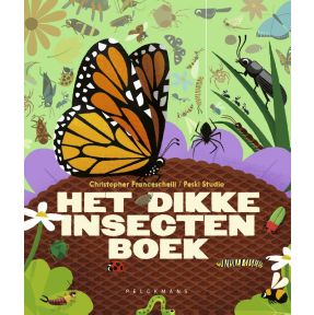 Het dikke insectenboek