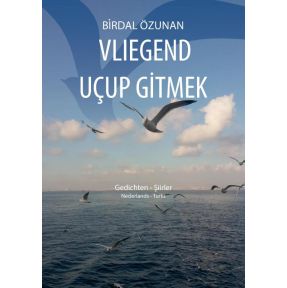 Vliegend uçup gitmek