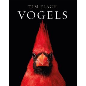 Vogels